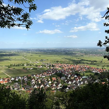 Ferienwohnung Am Ringelsberg Frankweiler Bagian luar foto