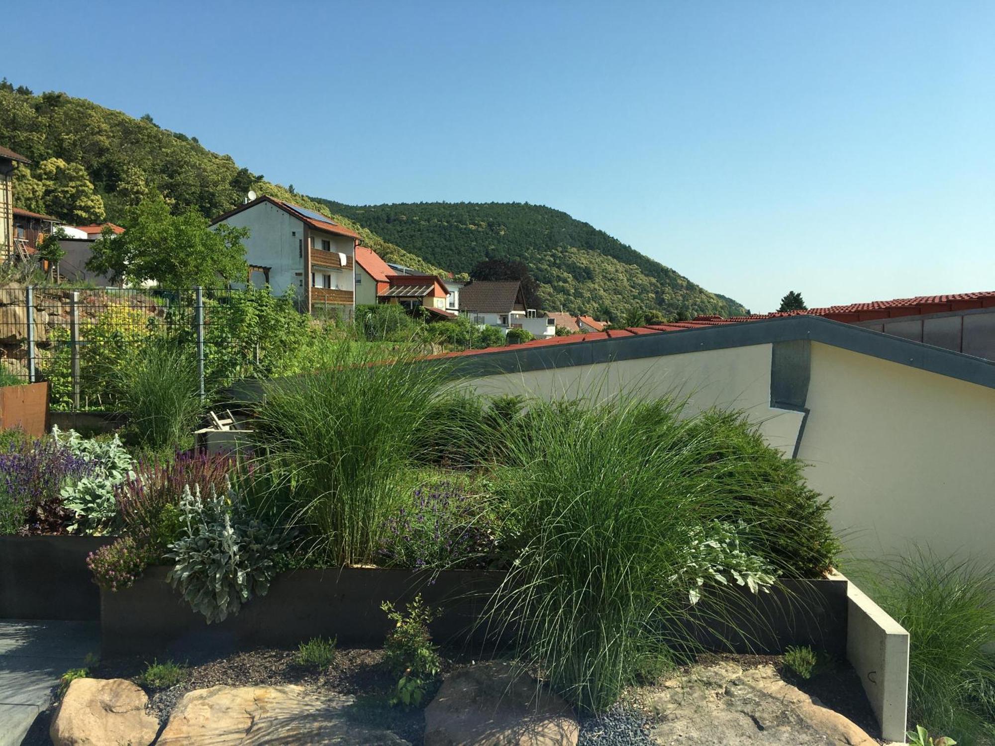 Ferienwohnung Am Ringelsberg Frankweiler Bagian luar foto